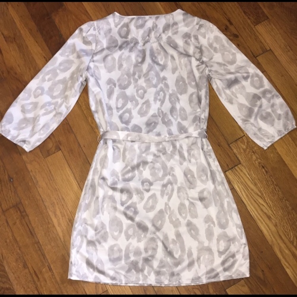Express Dress - Picture 4 of 4